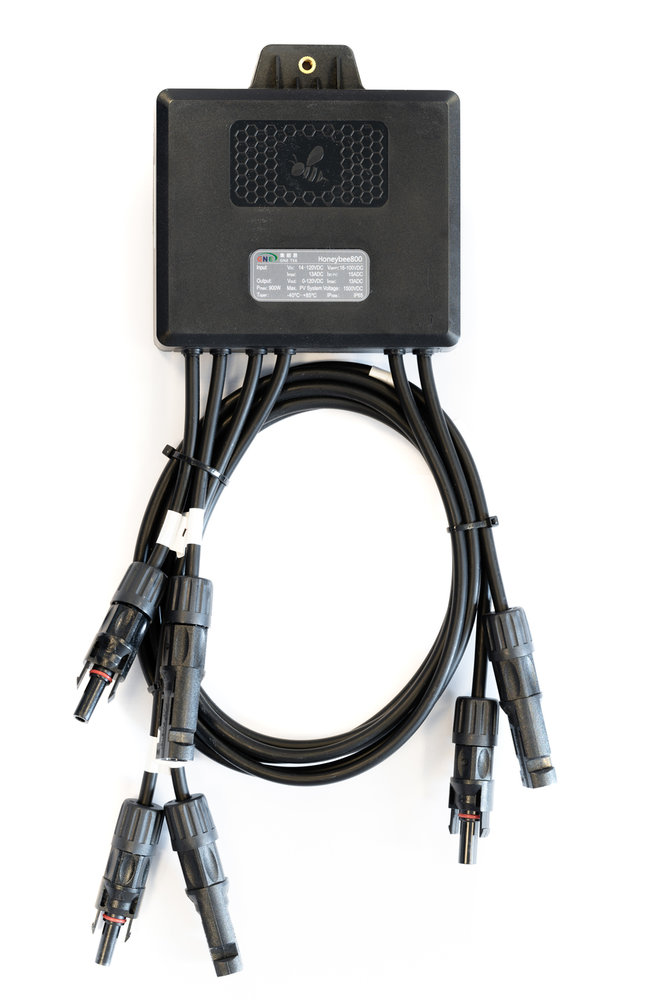 Afbeeldingsresultaat voor honeybee800